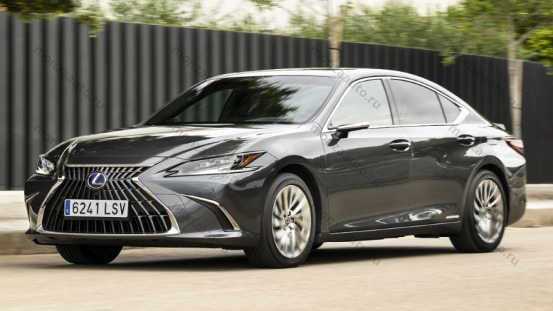 lexus1.jpg lexus1.jpg